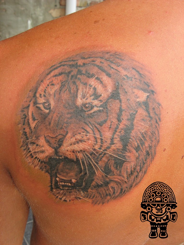 Фото и  значения татуировки Тигр. Z_5f02eb56